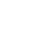 logo-chicago-sky