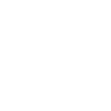 logo-chicago-sky